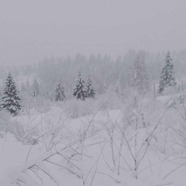 Zacharovany Karpaty Slavske Buitenkant foto