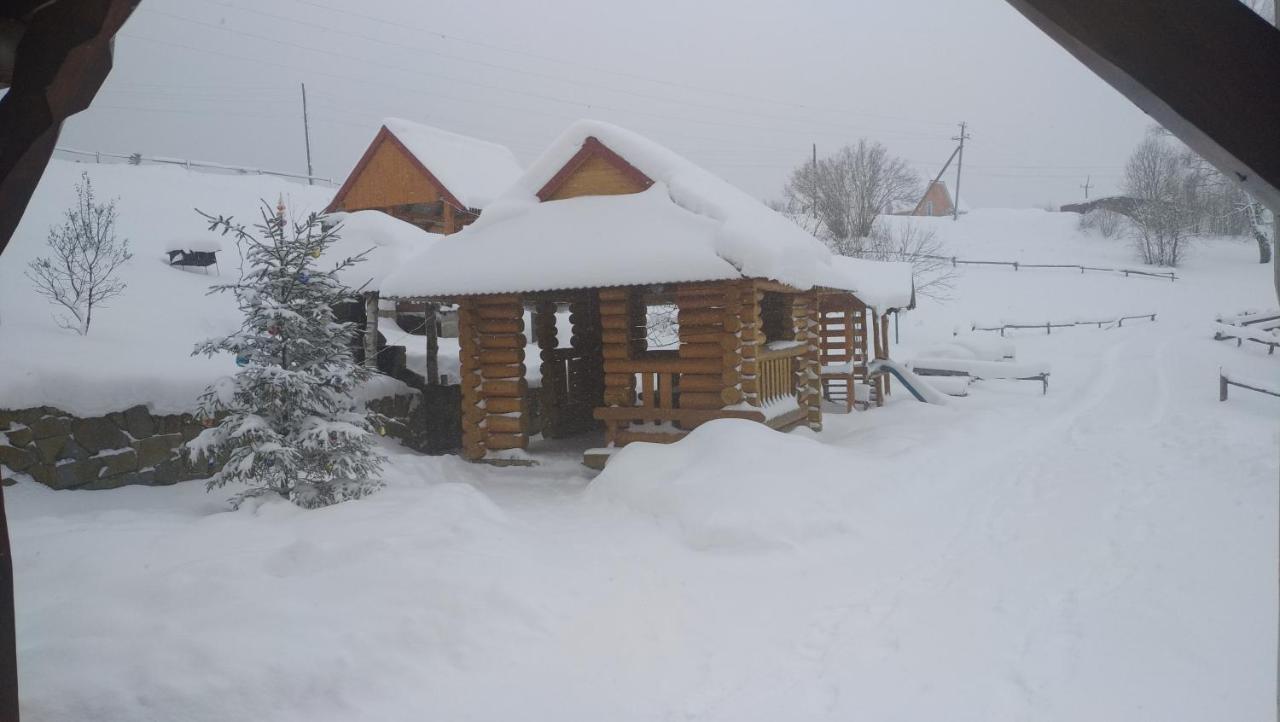 Zacharovany Karpaty Slavske Buitenkant foto