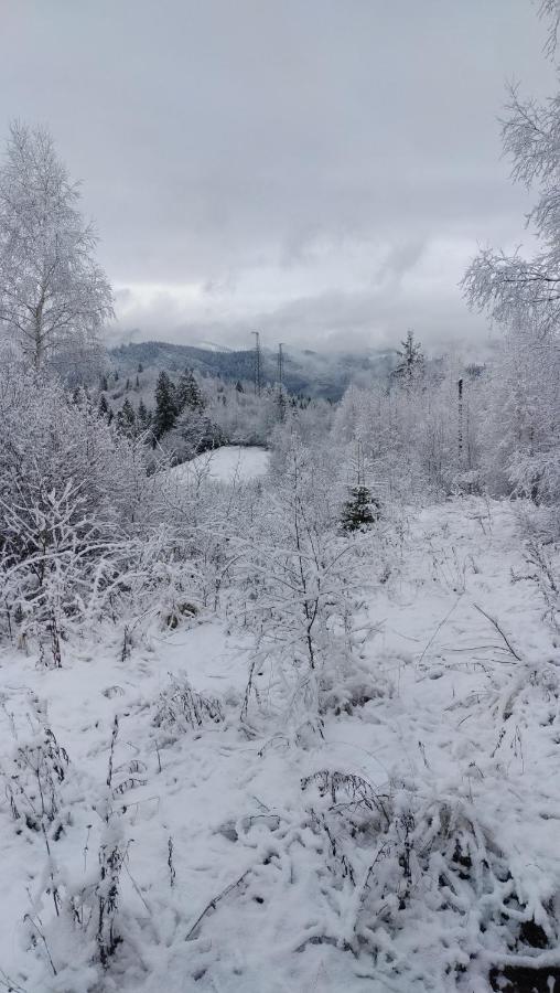 Zacharovany Karpaty Slavske Buitenkant foto